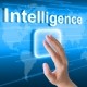 Fundamentos de Inteligencia y Contrainteligencia