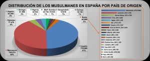 Distribución de los musulmanes en España según el país de origen, elaboración propia